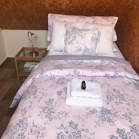 Pod Vezi Apartment *